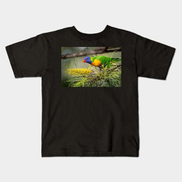 Rainbow Lorikeet with Grevillea Kids T-Shirt by AndrewGoodall